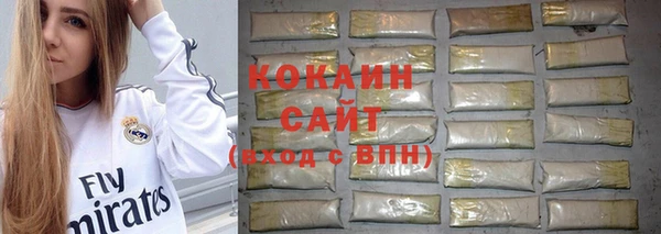 прущие грибы Верхнеуральск