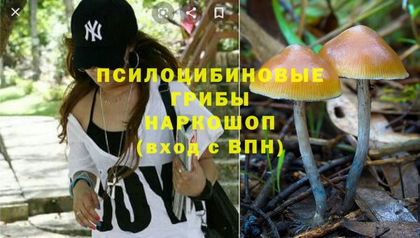прущие грибы Верхнеуральск