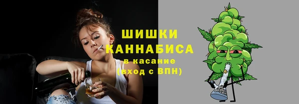 прущие грибы Верхнеуральск