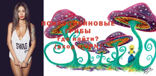 прущие грибы Верхнеуральск