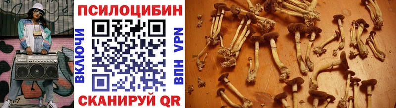 дарк нет как зайти  Курчатов  Псилоцибиновые грибы прущие грибы  мега ссылки 