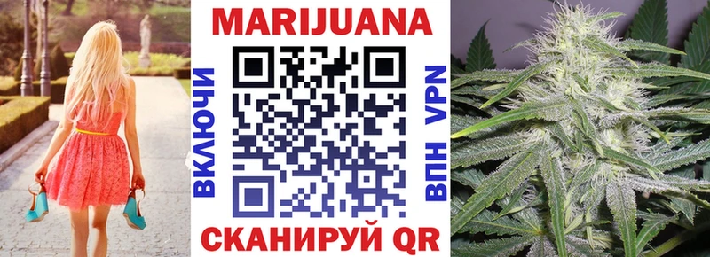 мега   Курчатов  Шишки марихуана гибрид 